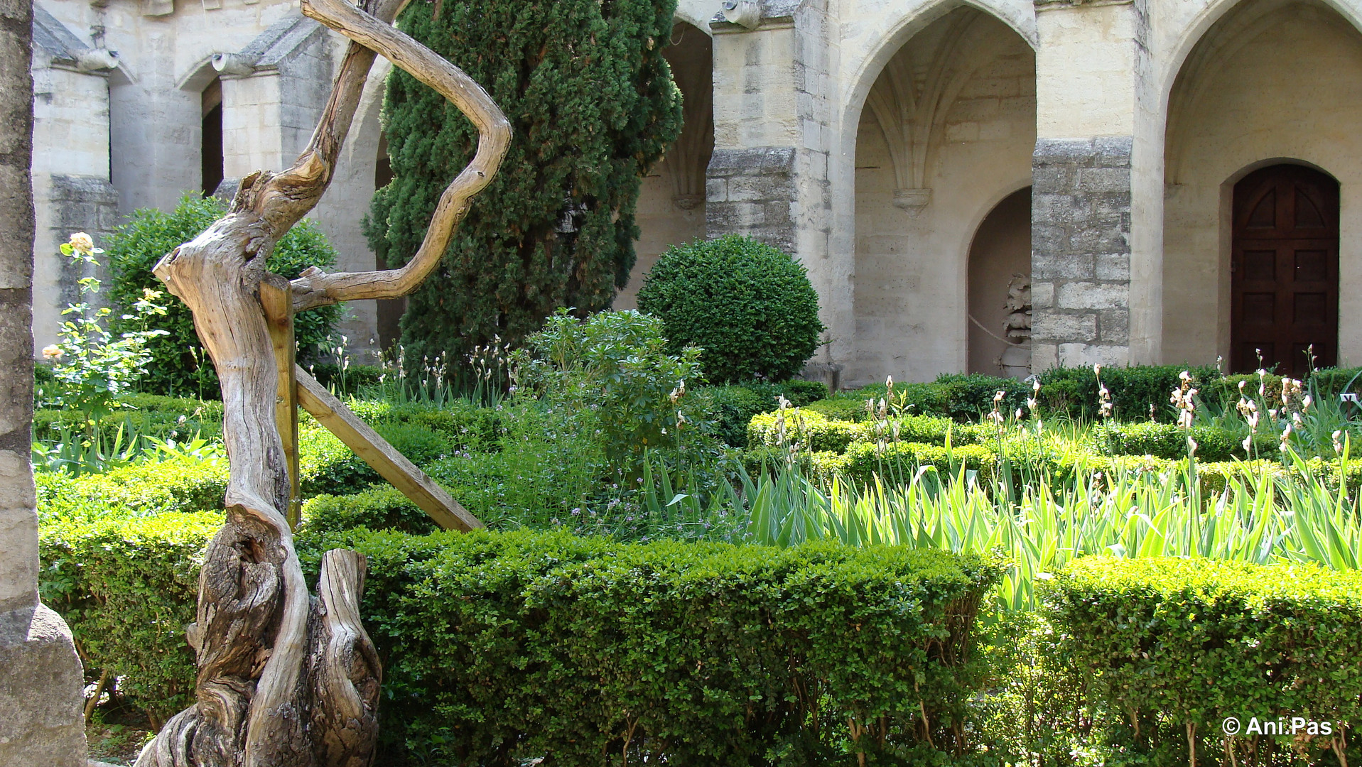 Kreuzgang II, La Chartreuse, Villeneuve-les-Avignon, Provence