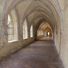 Kreuzgang Kloster Michaelsstein im Harz IV