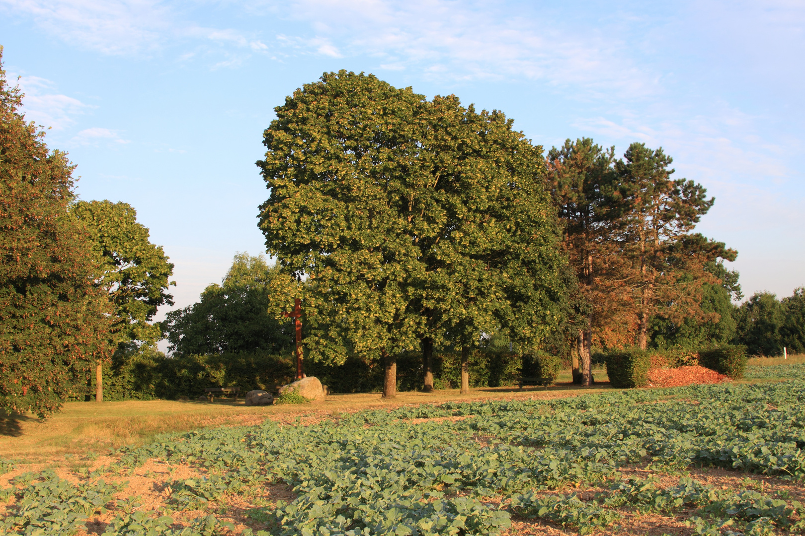 Kreuzkapelle, Morgenstimmung (9)