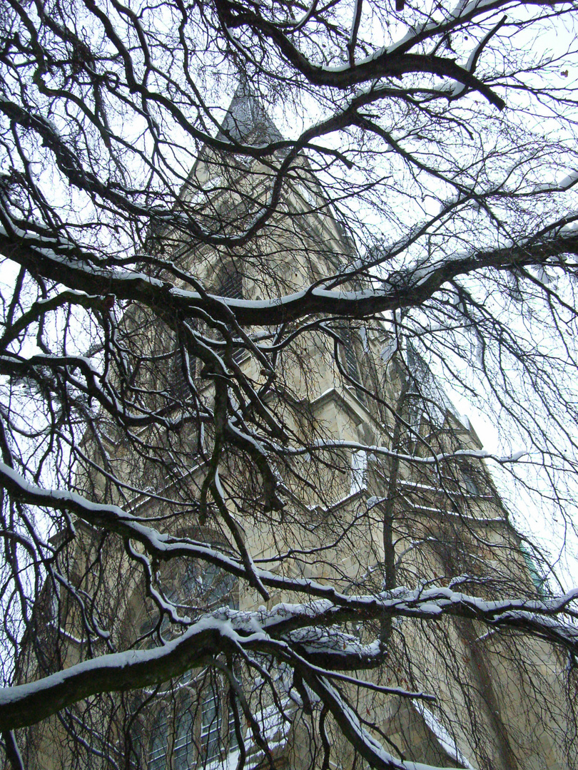 Kreuzkirchenturm hinter Hängebuchengeäst im Schnee-Dezember 2010