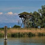 Kreuzlinger Naturidyll - Die Hafeneinfahrt entlang des Seeburgparkes 