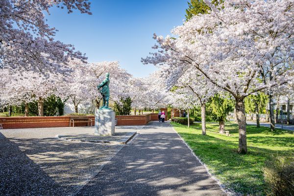 Kreuznacher Kurviertel 75