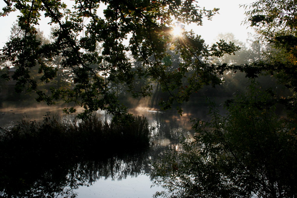 Kreuzriehe Dorfteich mit Morgennebel