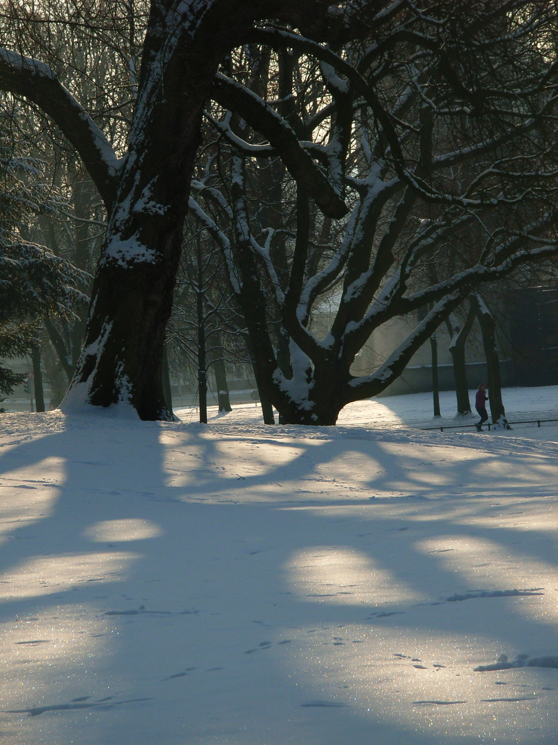 Kreuzschanze im Winter 3, Münster