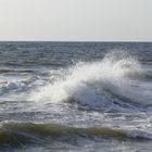 Kreuzsee vor Den Helder