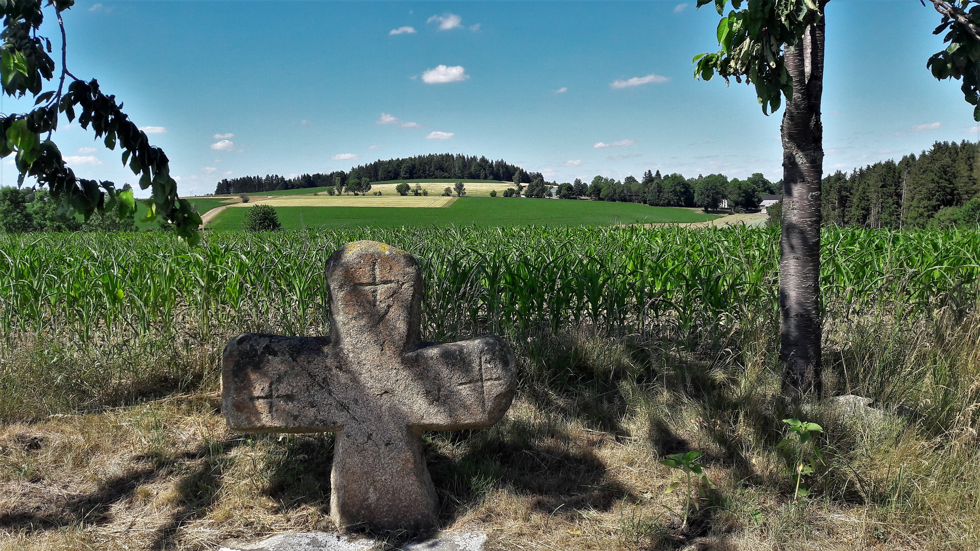 Kreuzstein am Wegesrand   nach Lösten 3.7.2019