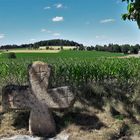 Kreuzstein am Wegesrand   nach Lösten 3.7.2019