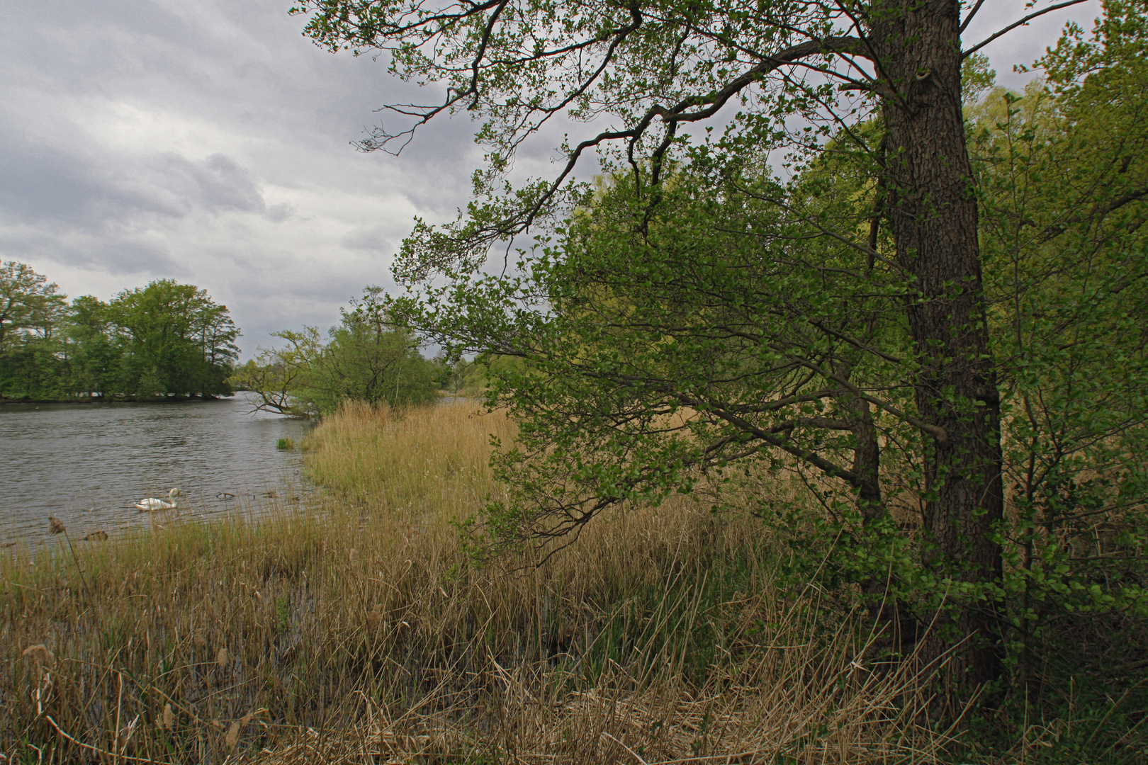 Kreuzteich bei bedecktem Wetter