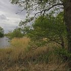 Kreuzteich bei bedecktem Wetter