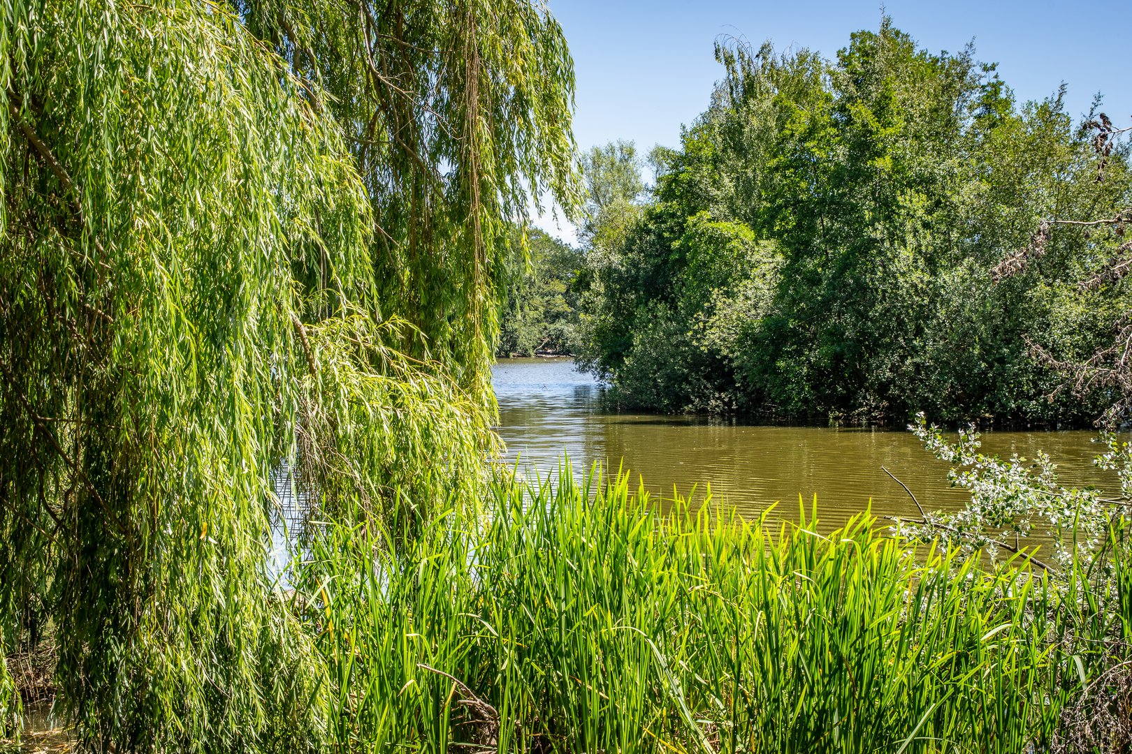 Kreuzteich I - Braunschweig-Riddagshausen 