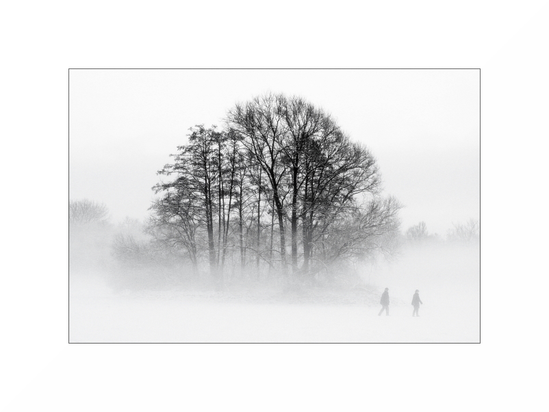 Kreuzteich, im Nebel