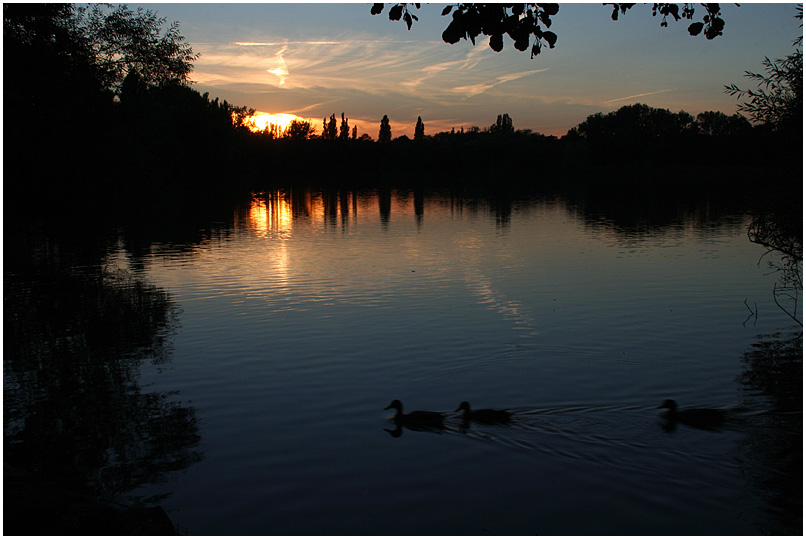 Kreuzteich in Riddagshausen 3