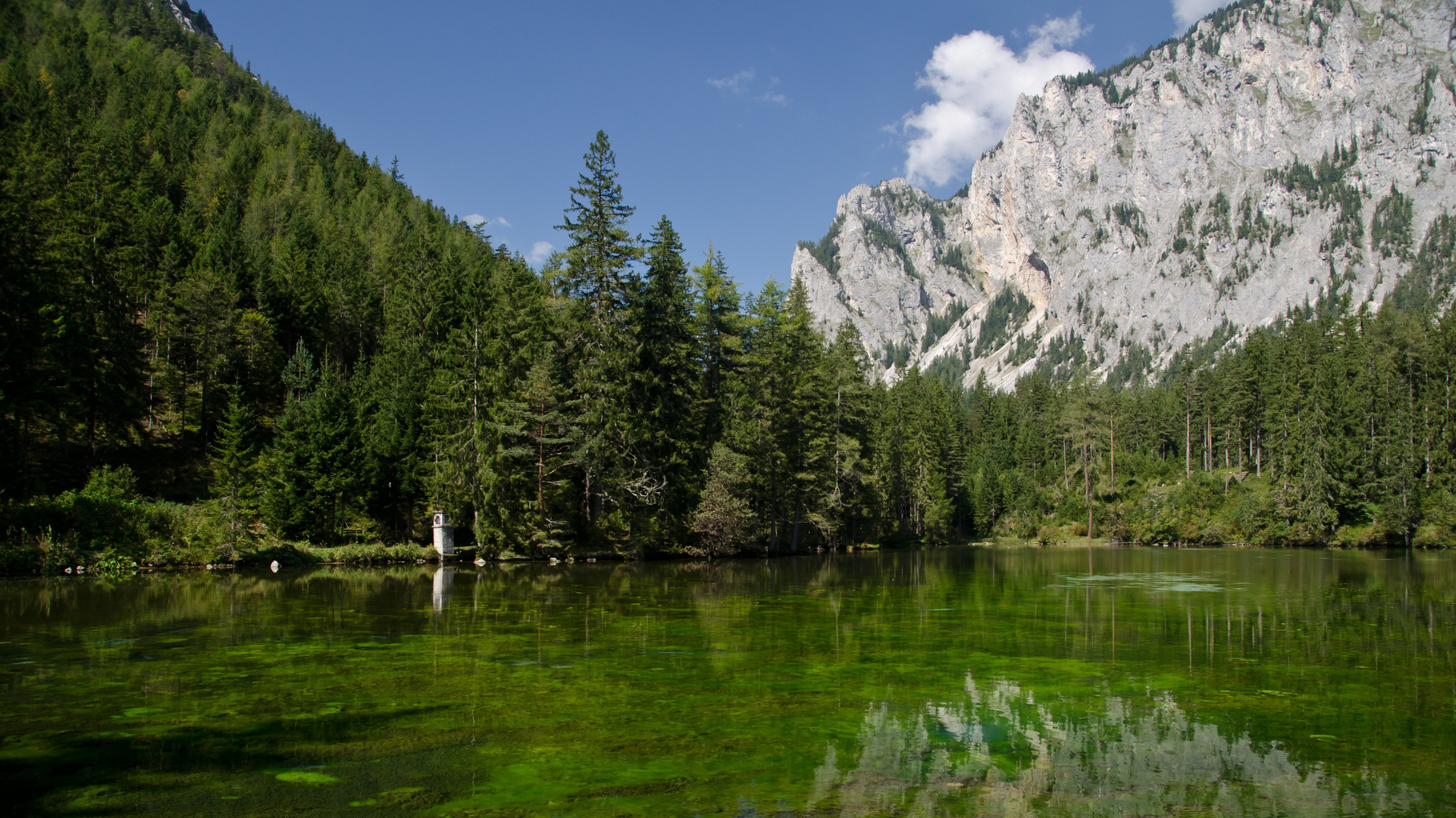 Kreuzteich Steiermark (2)