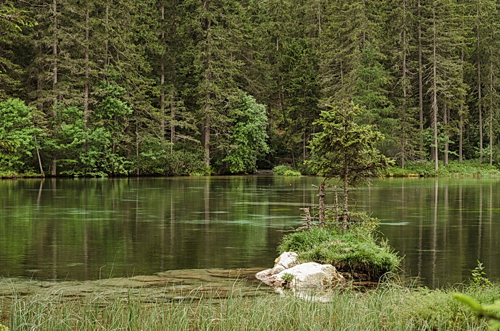 Kreuzteich, Tragöß ( Steiermark )