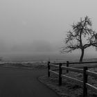 Kreuzug im Nebel