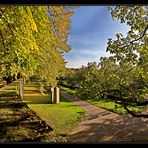 kreuzung am rosengarten