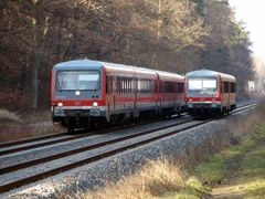 Kreuzung im Wald