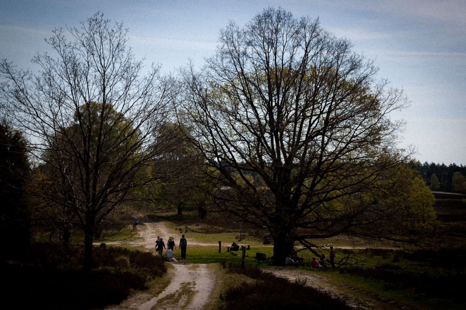 Kreuzung in der Lüneburger Heide