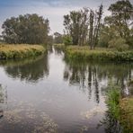 Kreuzung - Spreewald