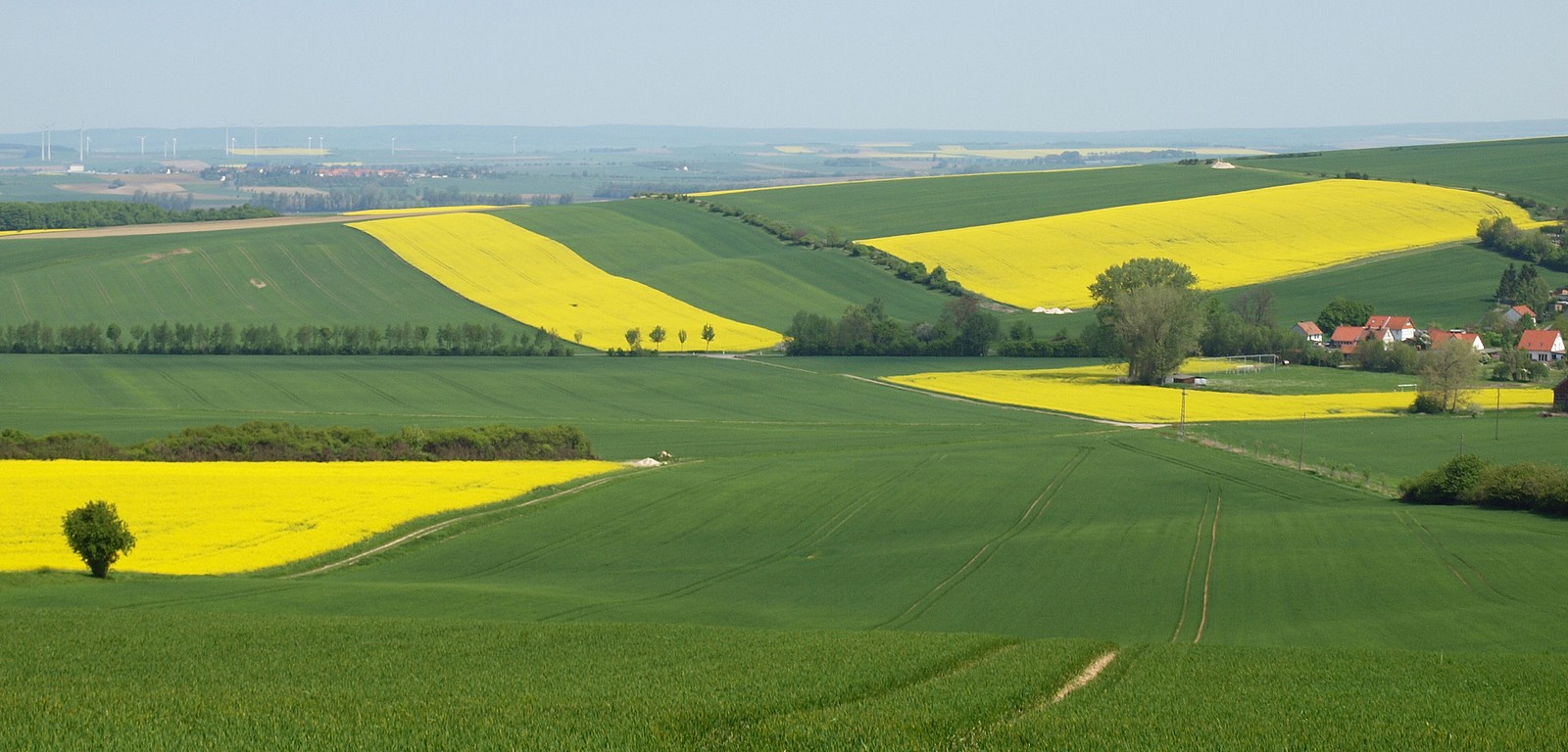 Kreuzung von Grün und Gelb