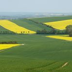 Kreuzung von Grün und Gelb