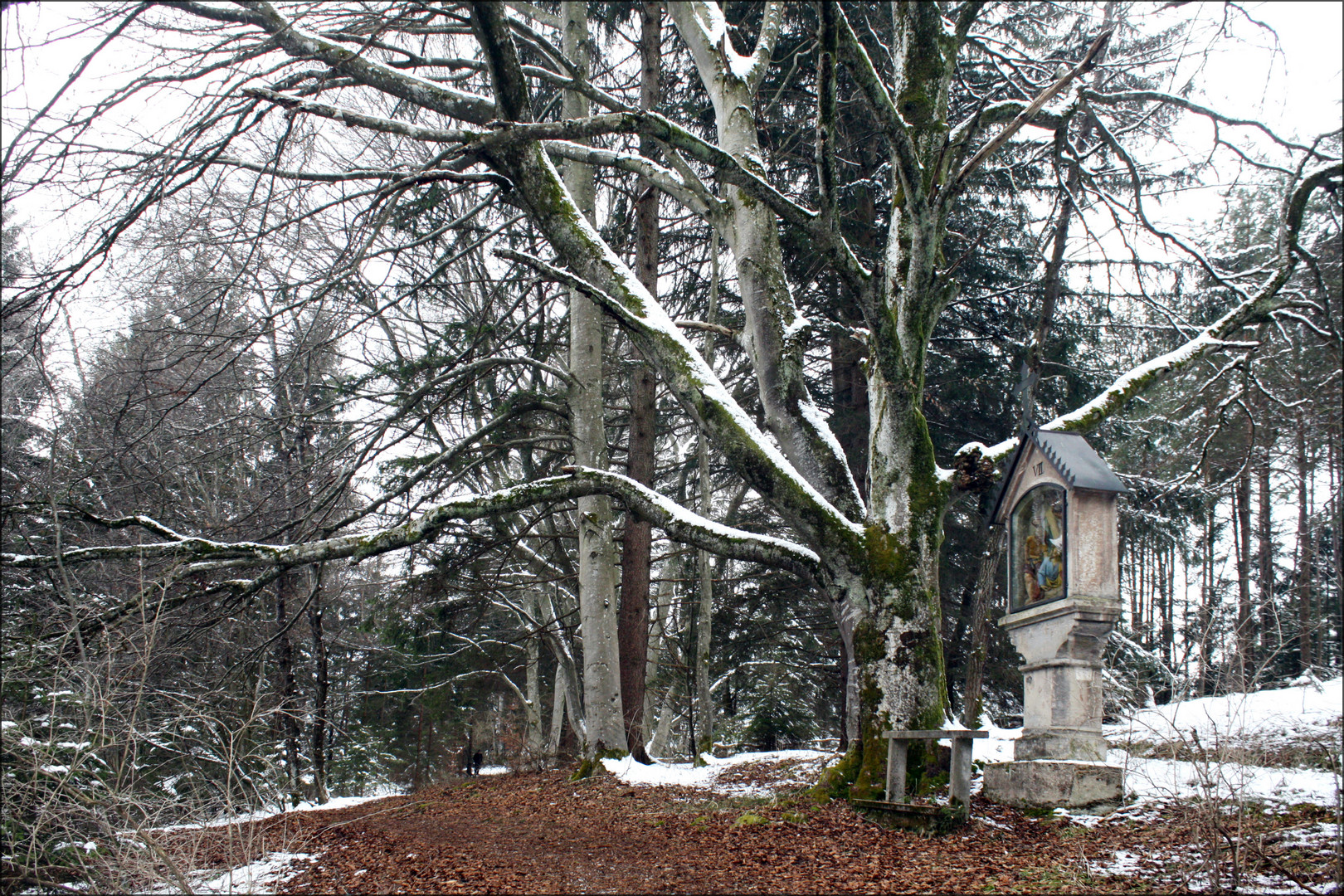 Kreuzweg an der Hardt- Kapelle