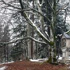 Kreuzweg an der Hardt- Kapelle