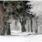 Kreuzweg in Böhmenkirch