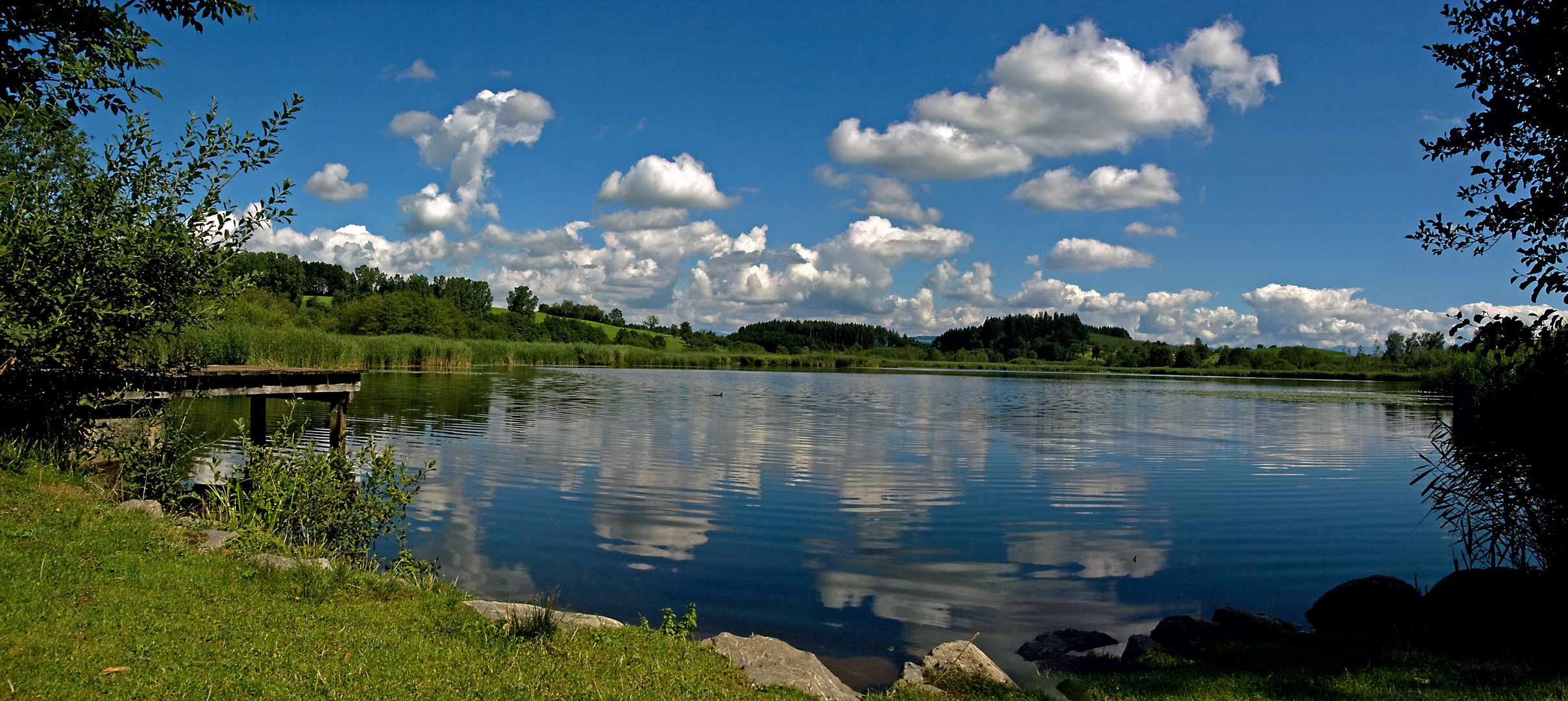 Kreuzweiher bei Neukirch in Oberschwaben