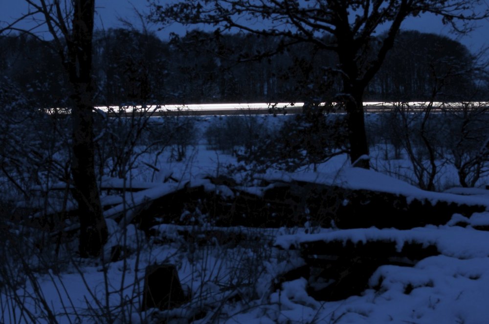 Kribbeln vor der Lichtjagd 2/2