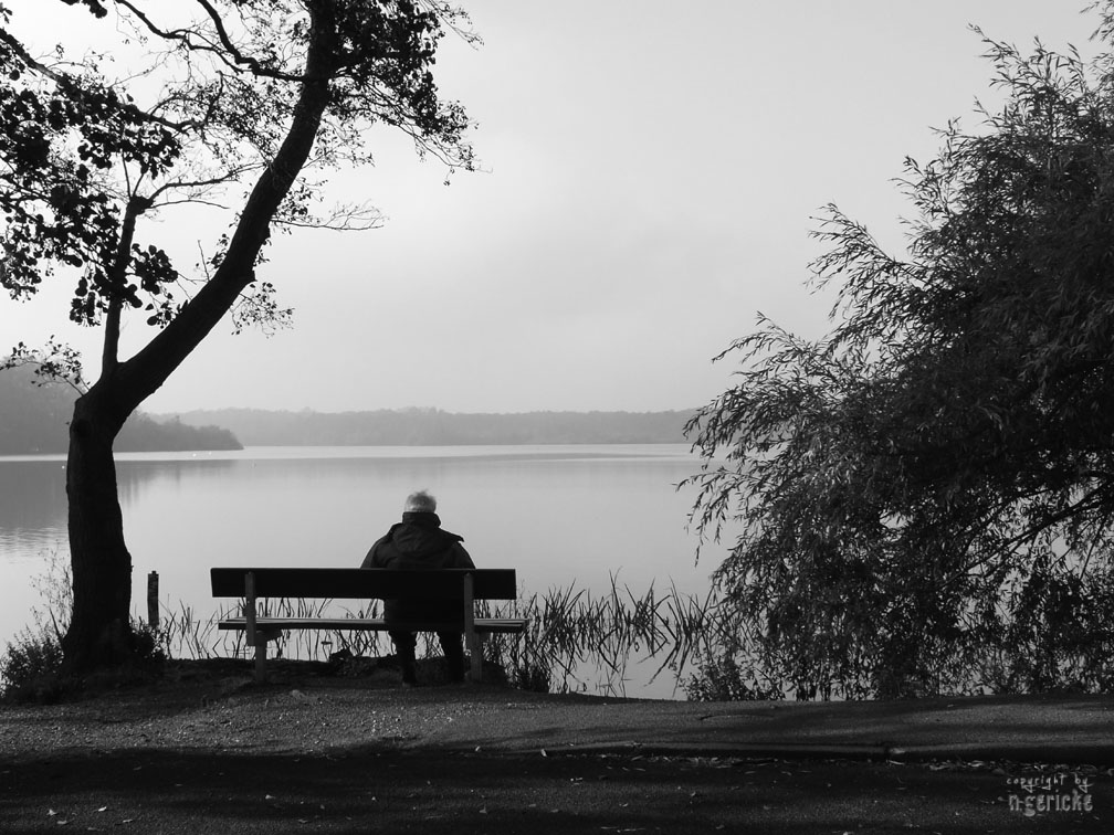 Krickenbecker Seen - Natur genießen