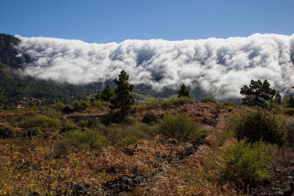 Kriechende Wolken