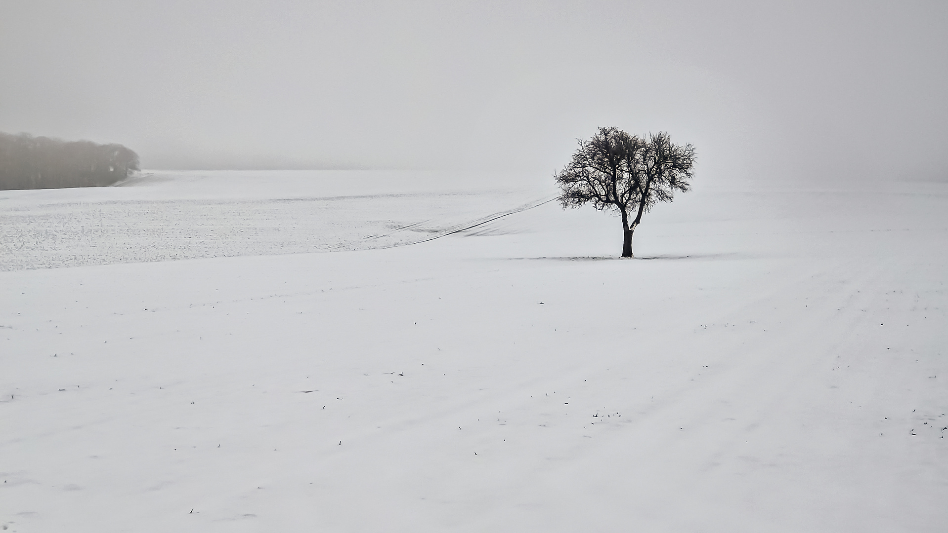 Kriegsfeld im Schnee