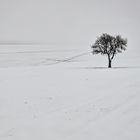 Kriegsfeld im Schnee