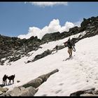 Krimmler Tauernpass 2633m