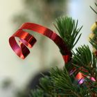 Kringelband an Weihnachtstanne