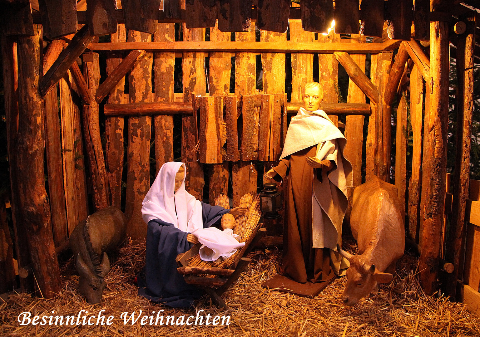 Krippe in der Minoritenkirche in Köln Foto & Bild weihnachten