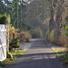 Krippenweg im Boniburger Wald