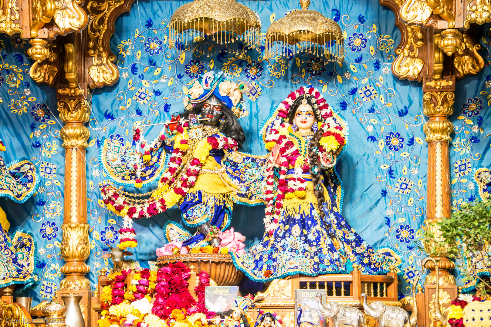 Krishna und Balarama