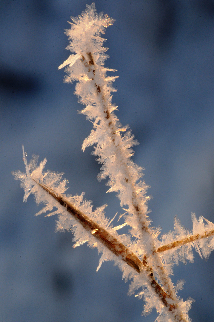 Kristall in der Morgensonne