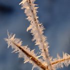 Kristall in der Morgensonne