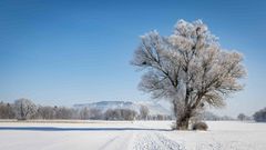 Kristallbaum vor Kaliberg im Dunstschleier