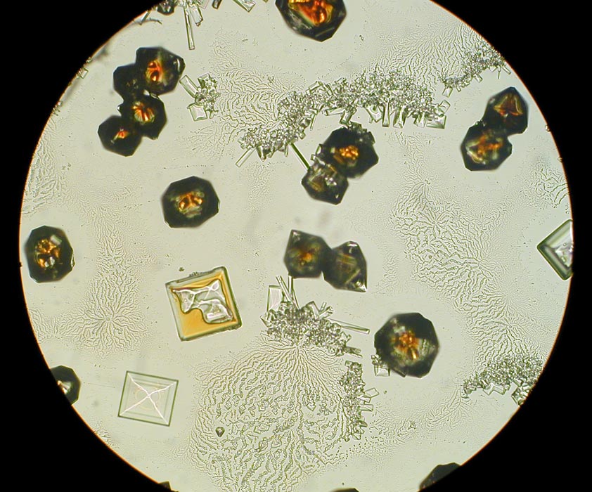 Kristallbilder im Mikroskop