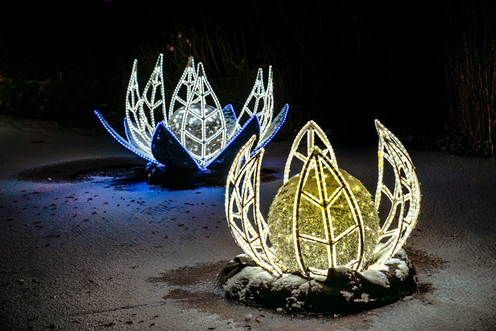 Kristallblüten im Christmas Garden Hamburg