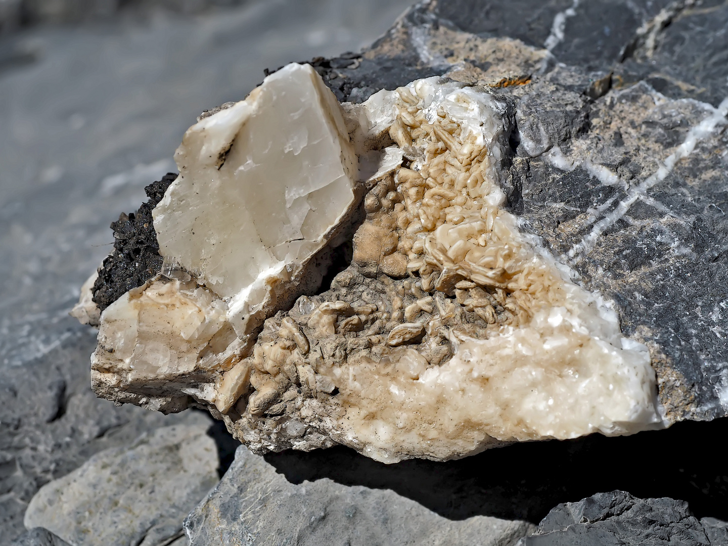 Kristalle auf einem Felsen im Hochgebirge. 
