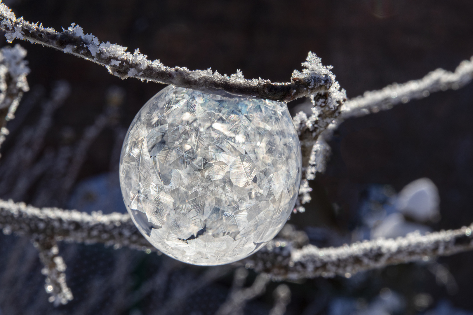 Kristalline Schönheit - gefrorene Seifenblase