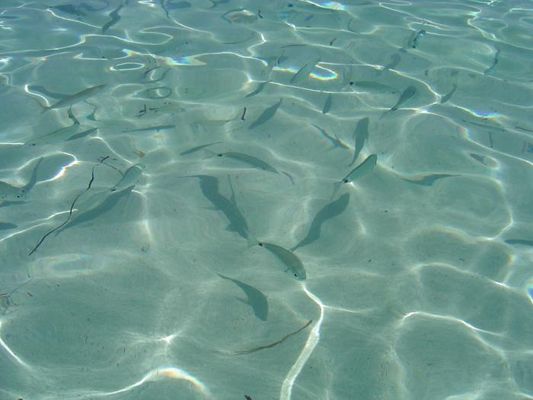 kristallklares Wasser