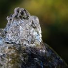 kristallklares Wasser
