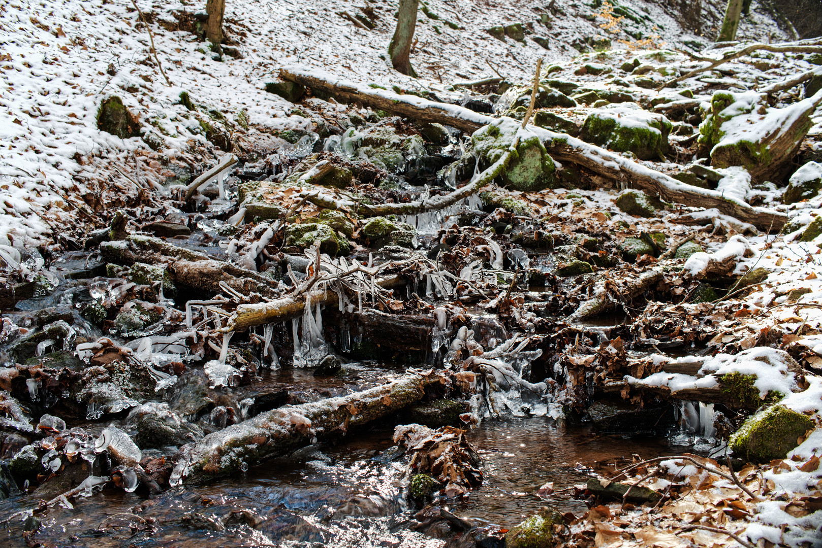 Kristallwelt im Waldbach