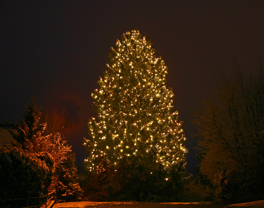 Kristbaum in Bülach